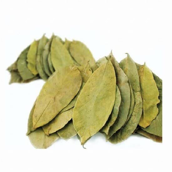 Yerbero - Whole Dried Graviola Soursop Leaves (4 oz - 330+ Leaves Per Bag) Hoja De Guanabana Seca