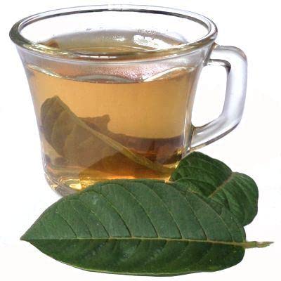 Yerbero - Whole Guava Leaf 2oz (56gr) Herbal Tea (Te Hojas De Guayaba) | Crafted By Nature100% All Natural Fresh Tea Tea |