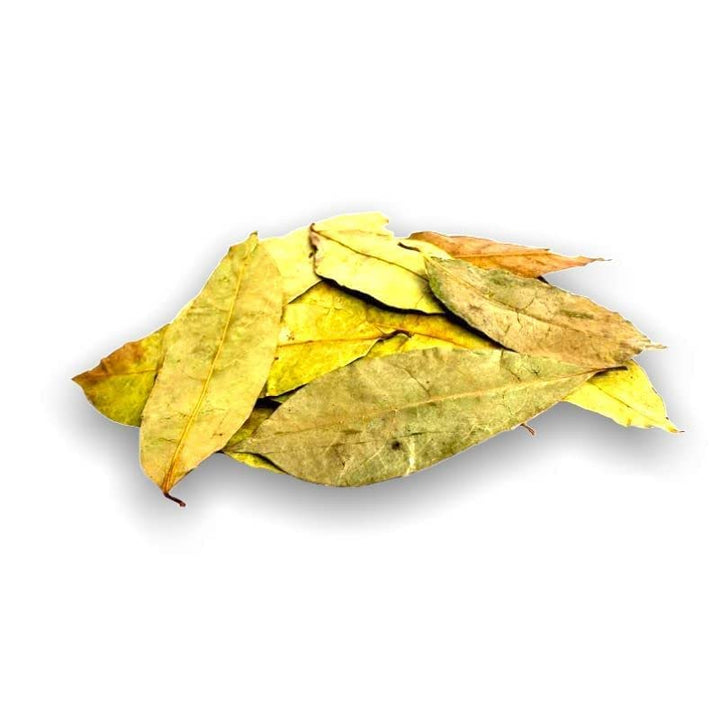 Yerbero - Whole Wildcrafted Dried Graviola Soursop Leaves 1 LB (453g - 1300+ Leaves Per Bag)