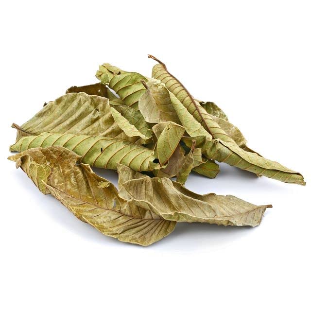 Yerbero - Hoja De Guayaba Entera (.75 oz - 22gr) Whole Dried Guava Leaf, Whole Leaf, Skin Care - Hair Re-Growth