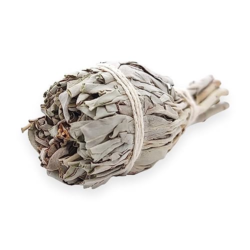 Premium Torch Style White Sage