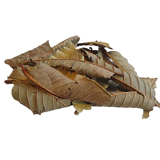 Yerbero - Hoja De Guayaba Entera (.75 oz - 22gr) Whole Dried Guava Leaf, Whole Leaf, Skin Care - Hair Re-Growth