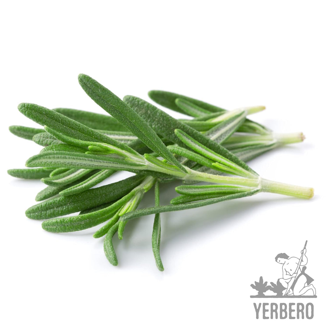 Yerbero - Premium Bulk Whole Rosemary Dried Leaves (Multiple Sizes) | Rosmarinus Officinalis | Hoja De Romero Deshidratada | Dried Whole Leaves For Gourmet Cuisine & Brewing Teas, Natural, Gluten-Free.