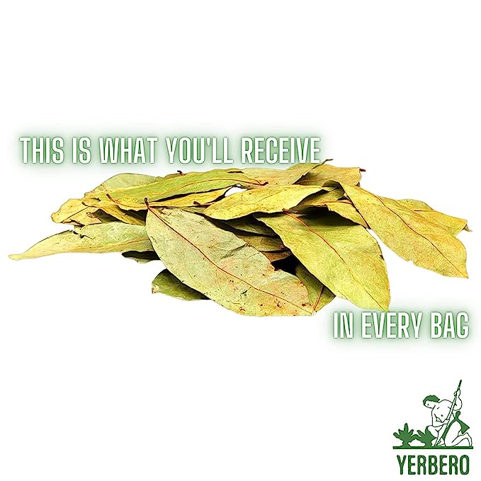 Yerbero - Whole Dried Graviola Soursop Leaves (4 oz - 330+ Leaves Per Bag) Hoja De Guanabana Seca