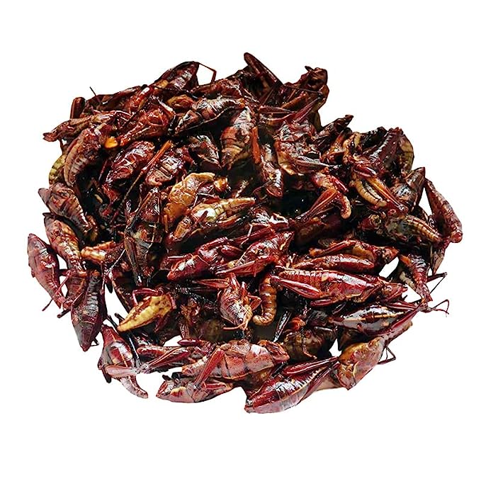 Yerbero - Fresh Chapulines Sabor Adobado From Oaxaca 3.5oz (100gr) | All Natural Spicy Toasted Grasshoppers With Lime,