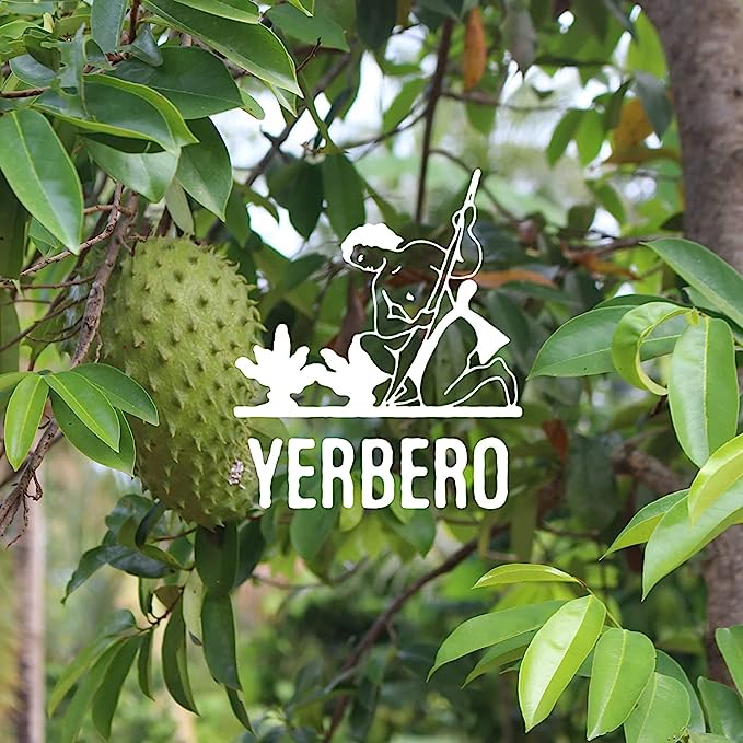 Yerbero - Whole Dried Graviola Soursop Leaves (4 oz - 330+ Leaves Per Bag) Hoja De Guanabana Seca