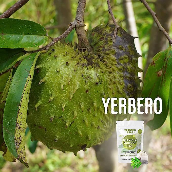 Yerbero - Whole Dried Graviola Soursop Leaves (4 oz - 330+ Leaves Per Bag) Hoja De Guanabana Seca