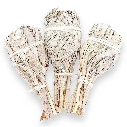 Premium Torch Style White Sage