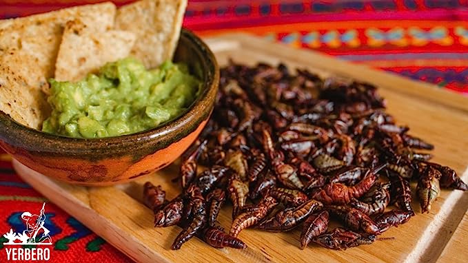 Yerbero - Fresh Chapulines Sabor Adobado From Oaxaca 3.5oz (100gr) | All Natural Spicy Toasted Grasshoppers With Lime,