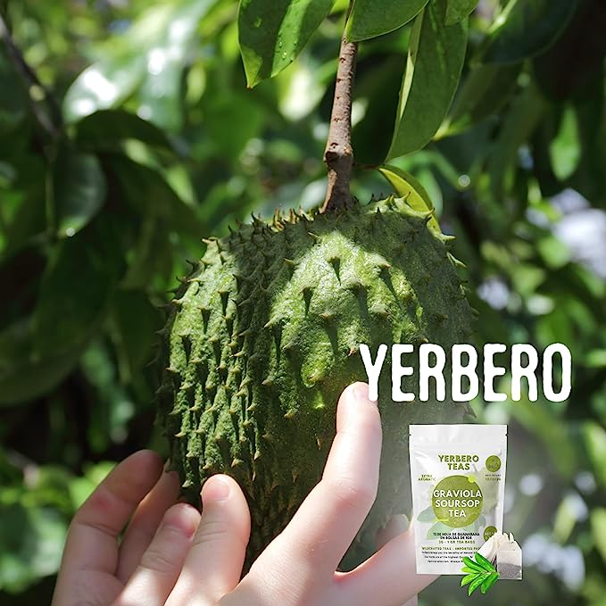 Yerbero - Pure Graviola Soursop Leaf Tea 30 Tea Bags 1gr (0.03oz) - Net WT 30gr (1.3oz) | Hoja Guanabana