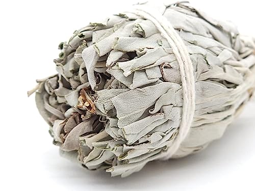 Premium Torch Style White Sage