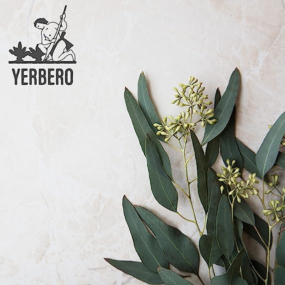 Yerbero - Premium Eucalyptus Leaves Grounded 5 oz (142g) | Polvo de Hoja de Eucalipto |100% Pure Leaf, No Fillers