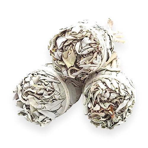 Premium Torch Style White Sage