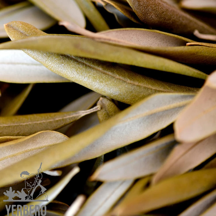 Delicious Herbal Tea 