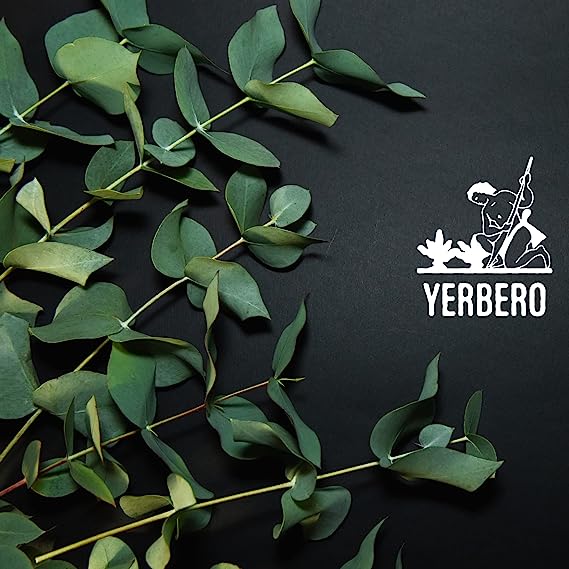 Yerbero - Premium Eucalyptus Leaves Grounded 5 oz (142g) | Polvo de Hoja de Eucalipto |100% Pure Leaf, No Fillers