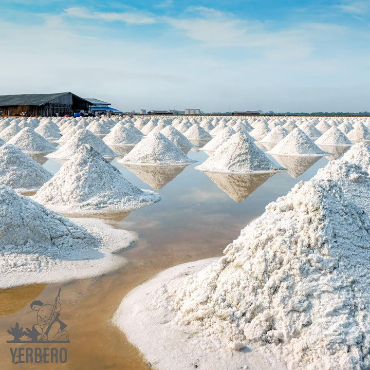 Yerbero - Premium Colima Sea Salt Unrefined (Multiple Sizes) | 100% All Natural Sea Salt, Gourmet Grade, Non GMO's. | Hand Harvested | Imported From Lagoon Cuyutlán “Tepalcates” Colima, Mexico.