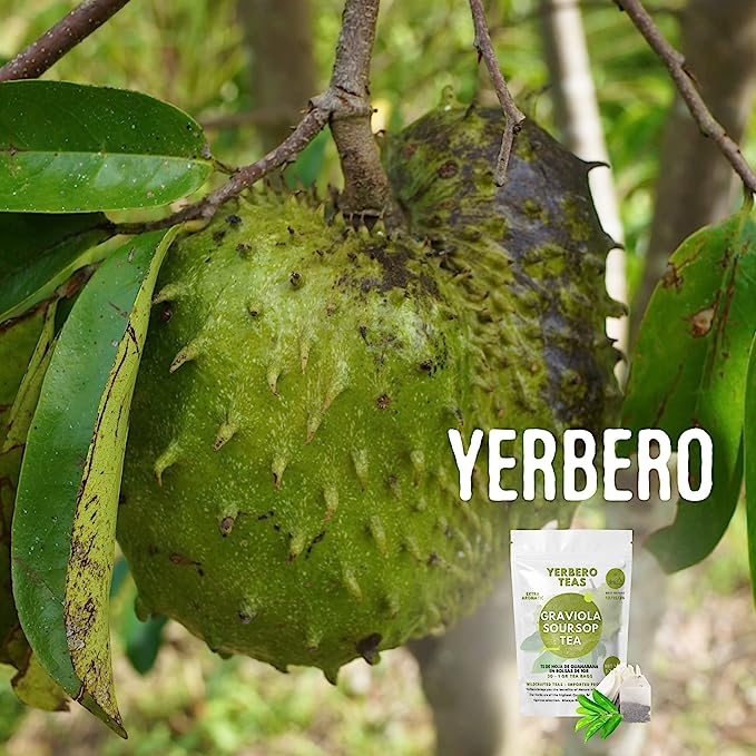 Yerbero - Pure Graviola Soursop Leaf Tea 30 Tea Bags 1gr (0.03oz) - Net WT 30gr (1.3oz) | Hoja Guanabana