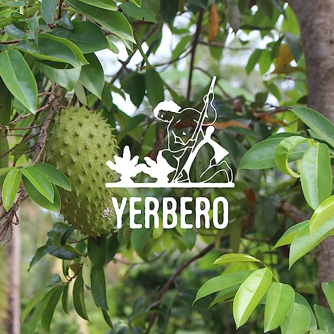 Yerbero - Pure Graviola Soursop Leaf Tea 30 Tea Bags 1gr (0.03oz) - Net WT 30gr (1.3oz) | Hoja Guanabana