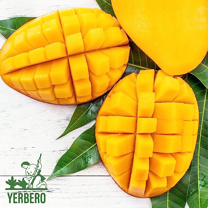 Yerbero - Hoja De Mango Entera (.75 oz - 22gr) Whole Dried Mango Leaves, Whole Leaf,100% All Natural D-Tox - Relaxation Tea |