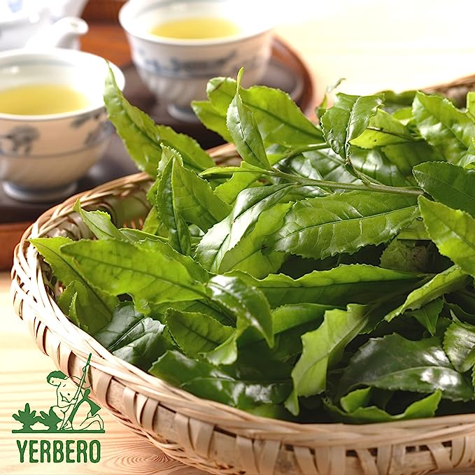 Yerbero - Fig Leaf ( Hoja De Higo - Aroma Fuerte) 30 Tea Bags 1gr (0.03oz) - Net WT 30gr (1.3oz) | Skin Care Tea |