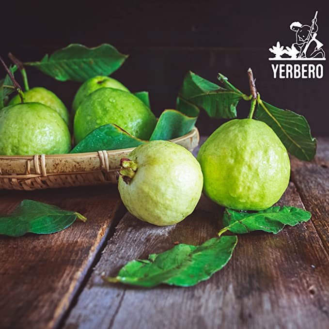 Yerbero - Hoja De Guayaba Entera (.75 oz - 22gr) Whole Dried Guava Leaf, Whole Leaf, Skin Care - Hair Re-Growth