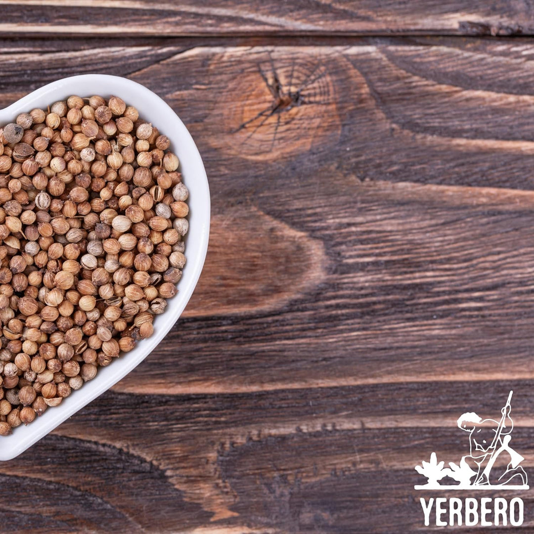 Yerbero - Coriander Seeds (Multiple Sizes) Semilla de Cilantro Premium Coriandrum sativum Gourmet Spices - All Natural, No Additives, Vegan