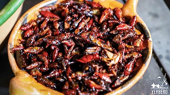 Yerbero - Fresh Chapulines Sabor Adobado From Oaxaca 3.5oz (100gr) | All Natural Spicy Toasted Grasshoppers With Lime,