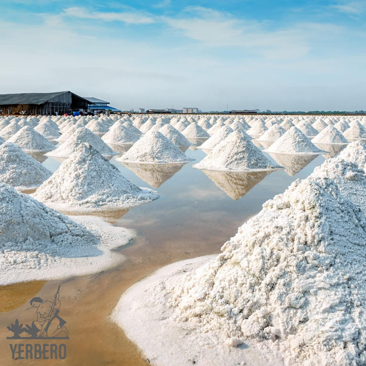 Yerbero - Premium Gourmet Bulk Colima Sea Salt Unrefined (Multiple Sizes) | 100% Natural Sea Salt, Sal De Mar, Non GMO's | Hand Harvested | From Lagoon Cuyutlán “Tepalcates” Colima, Mexico.