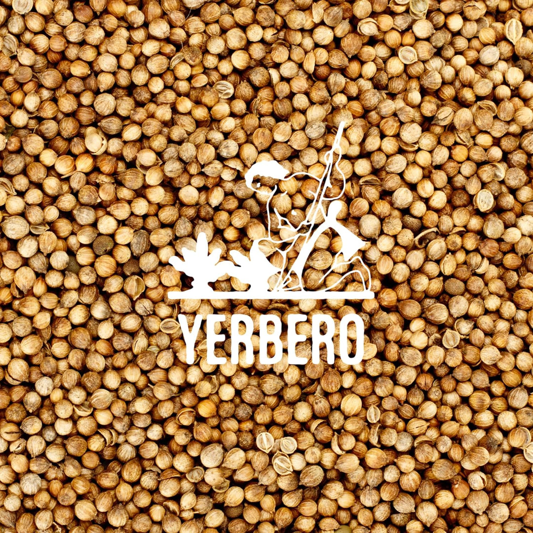 Yerbero - Coriander Seeds (Multiple Sizes) Semilla de Cilantro Premium Coriandrum sativum Gourmet Spices - All Natural, No Additives, Vegan