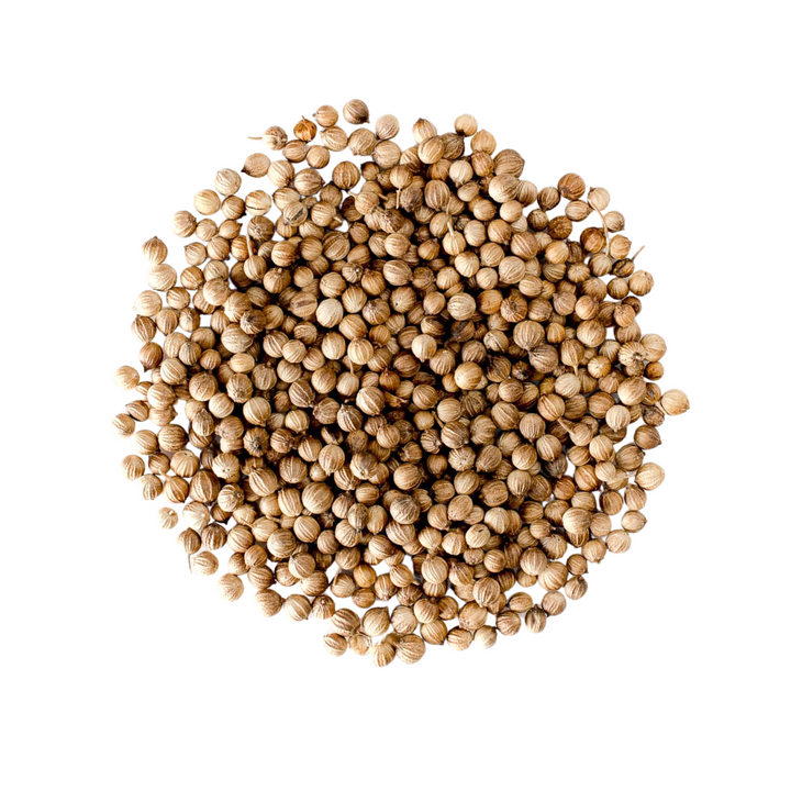 Yerbero - Coriander Seeds (Multiple Sizes) Semilla de Cilantro Premium Coriandrum sativum Gourmet Spices - All Natural, No Additives, Vegan