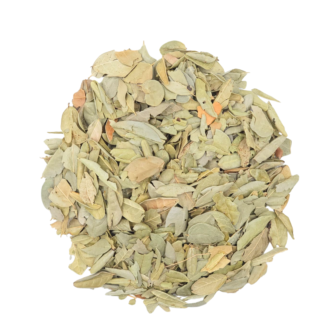 Boldo Dried Leaves Herbal Tea 