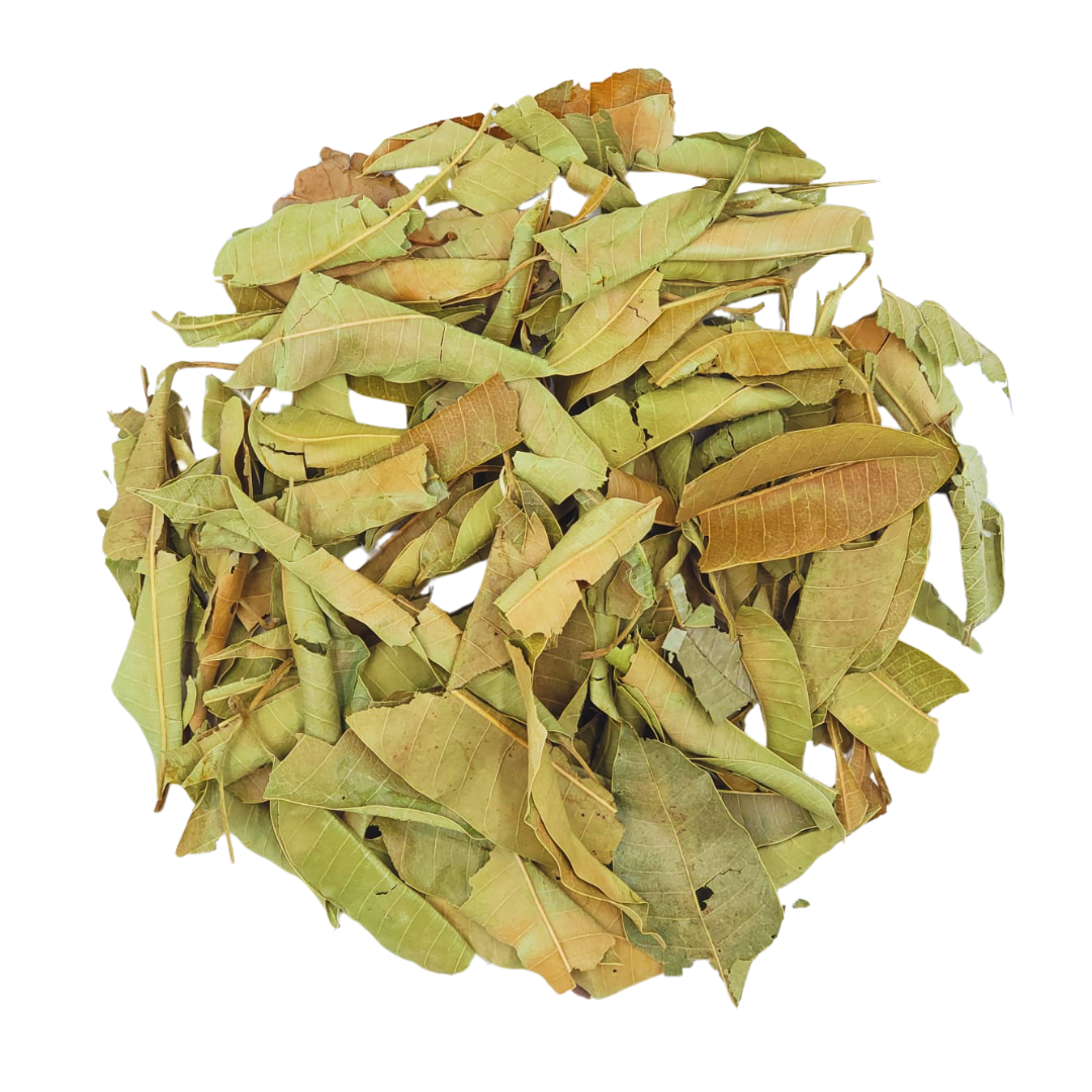 Natural Dried Mango Leaves Tea