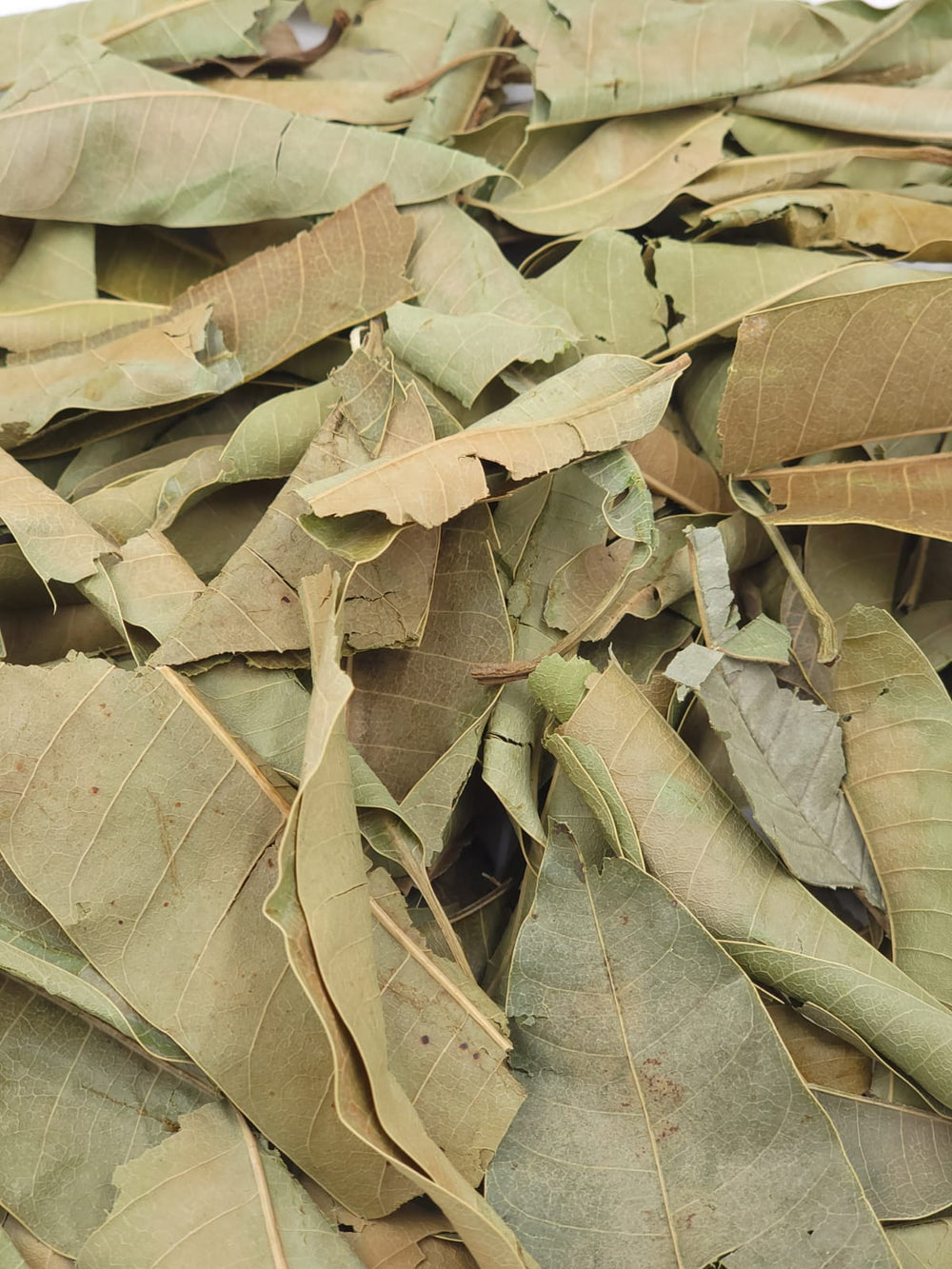 Natural Dried Mango Leaves Tea